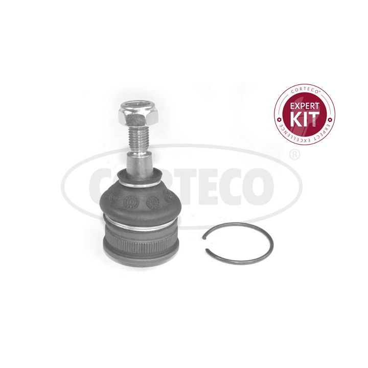 Šarnyras / girgždukas CORTECO 49399428