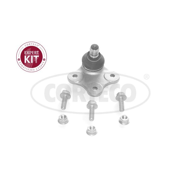 Šarnyras / girgždukas CORTECO 49399594