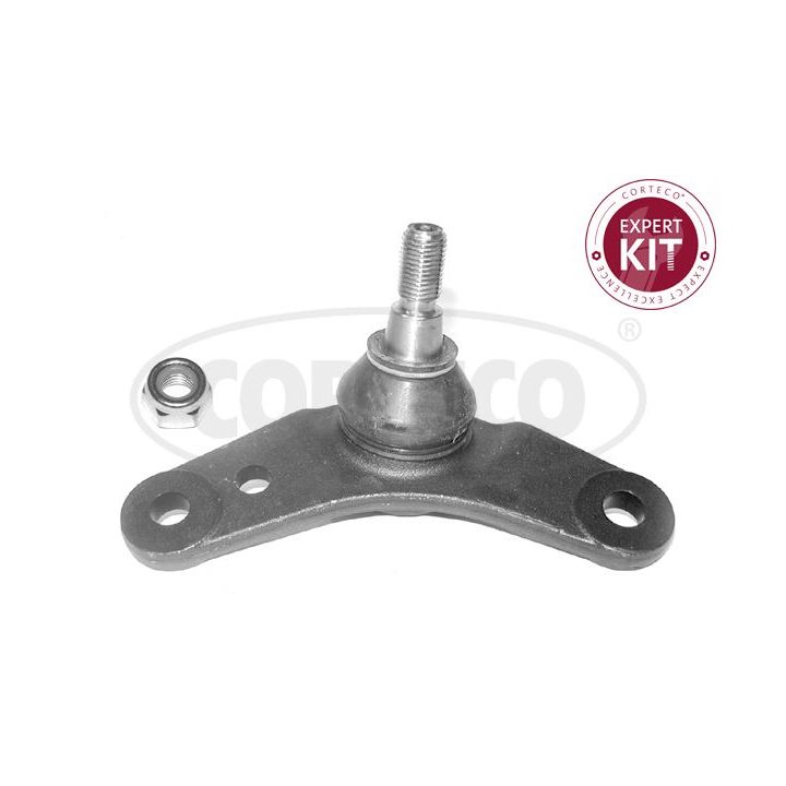 Šarnyras / girgždukas CORTECO 49399795