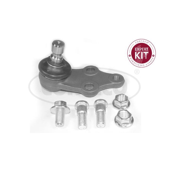 Šarnyras / girgždukas CORTECO 49399811