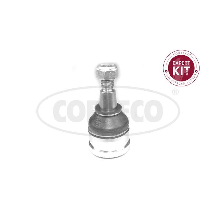 Šarnyras / girgždukas CORTECO 49400227