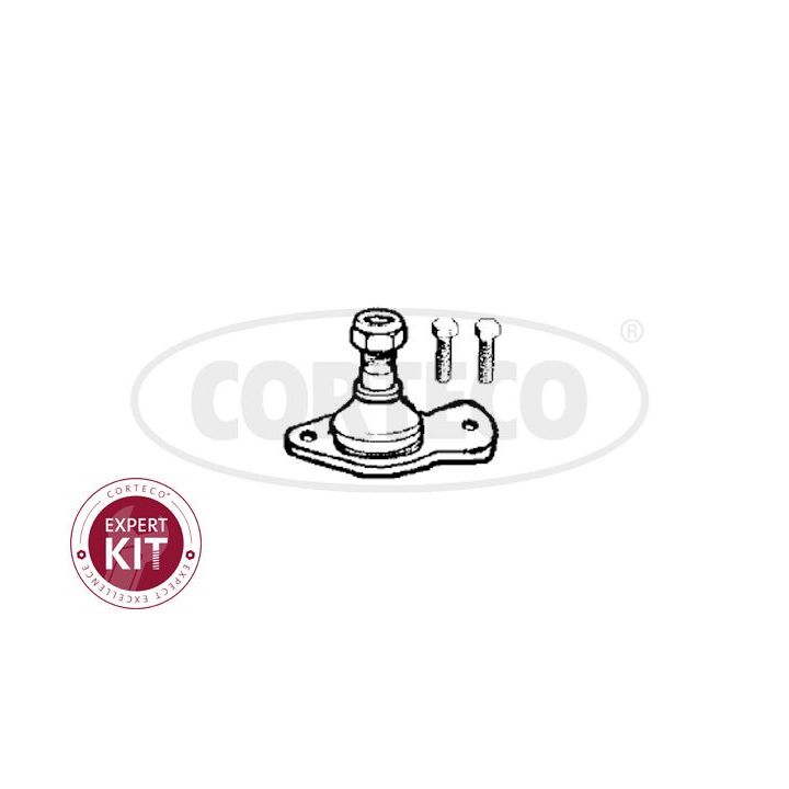 Šarnyras / girgždukas CORTECO 49400382