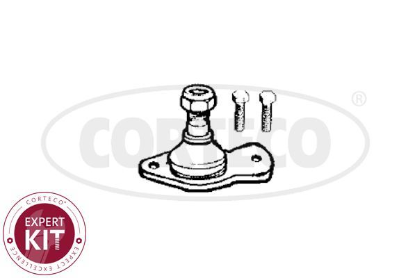 Šarnyras / girgždukas CORTECO 49400382