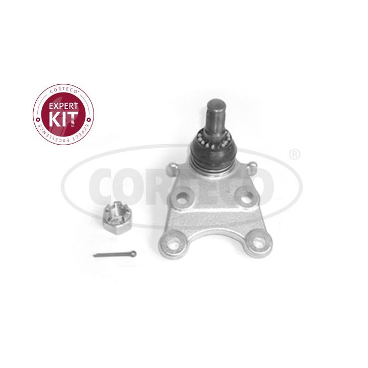Šarnyras / girgždukas CORTECO 49400581