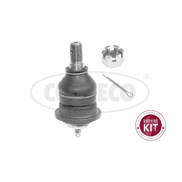 Šarnyras / girgždukas CORTECO 49400742