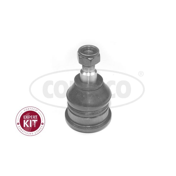 Šarnyras / girgždukas CORTECO 49401037