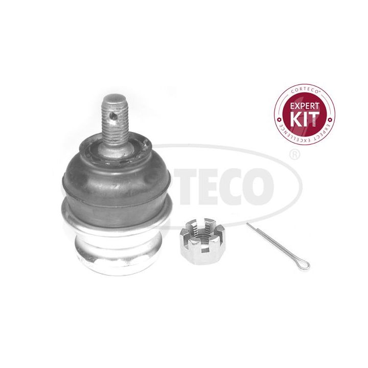 Šarnyras / girgždukas CORTECO 49401038