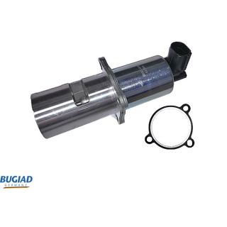 ERG vožtuvas BUGIAD BGR13036