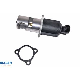 ERG vožtuvas BUGIAD BGR13043