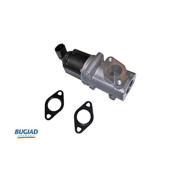 ERG vožtuvas BUGIAD BGR13045