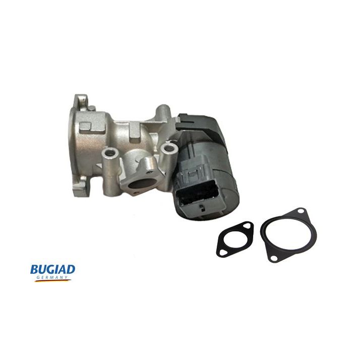 ERG vožtuvas BUGIAD BGR13065