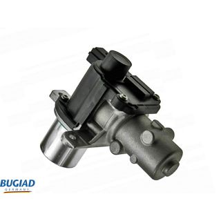 ERG vožtuvas BUGIAD BGR13071