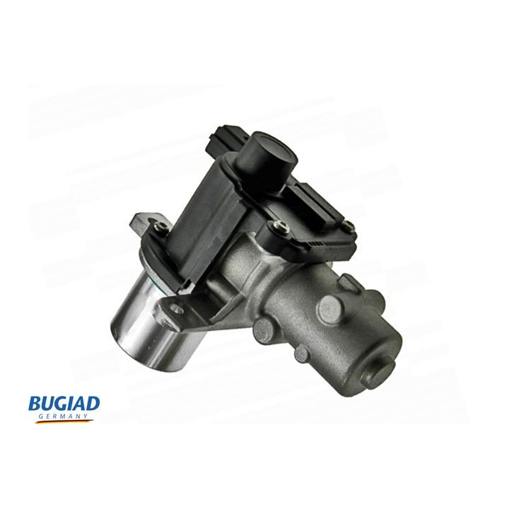 ERG vožtuvas BUGIAD BGR13071