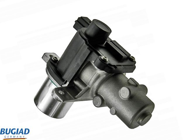 ERG vožtuvas BUGIAD BGR13071