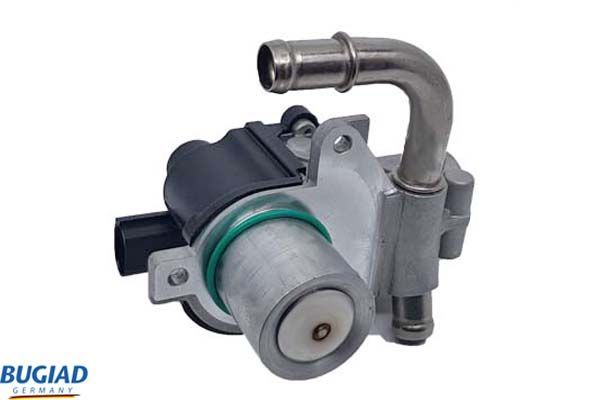 ERG vožtuvas BUGIAD BGR13089