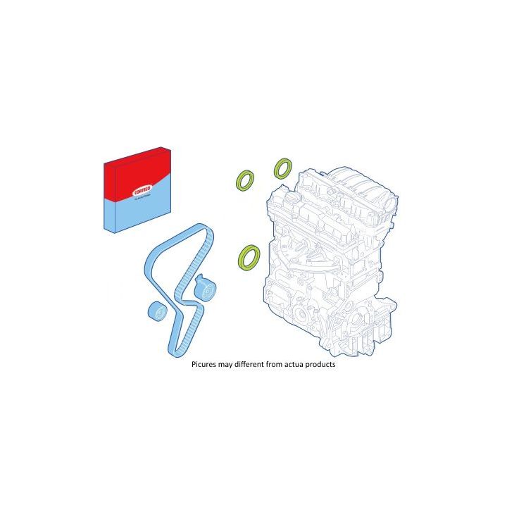 Veleno sandariklių komplektas, variklis CORTECO 289050