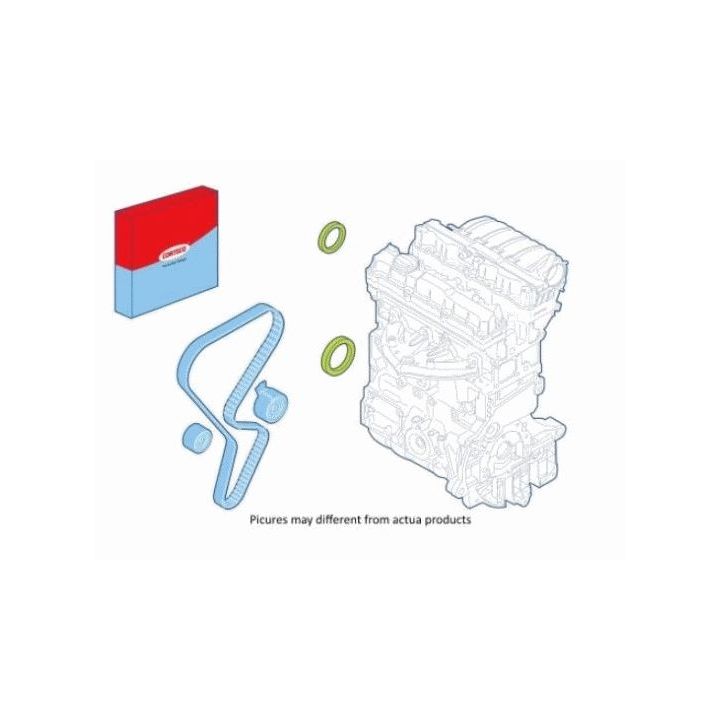 Veleno sandariklių komplektas, variklis CORTECO 289120