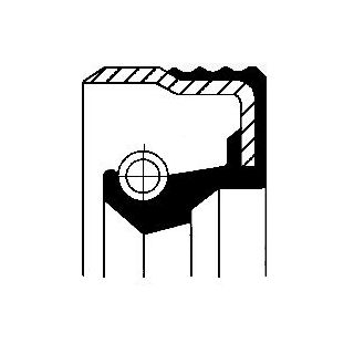 Veleno sandariklis, įpurškimo siurblys CORTECO 12019586B