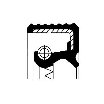 Veleno sandariklis, įpurškimo siurblys CORTECO 49418398