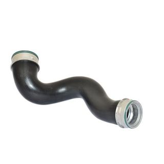 Kompresoriaus padavimo žarna BUGIAD 81605