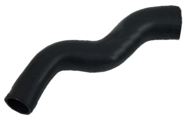 Kompresoriaus padavimo žarna BUGIAD 81831