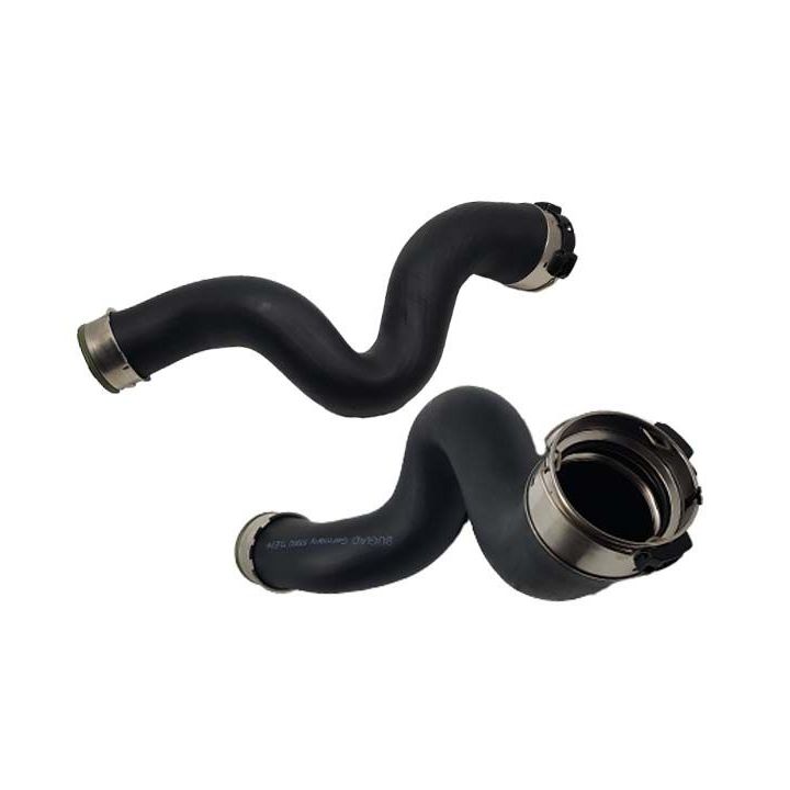 Kompresoriaus padavimo žarna BUGIAD 81902