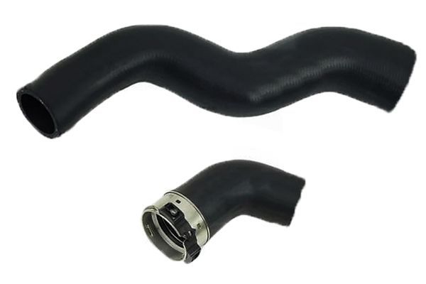 Kompresoriaus padavimo žarna BUGIAD 81962