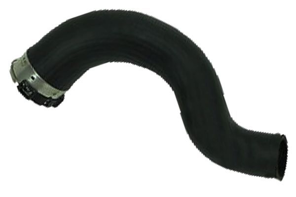 Kompresoriaus padavimo žarna BUGIAD 81966