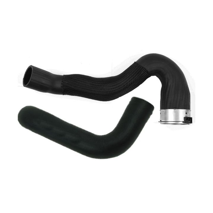 Kompresoriaus padavimo žarna BUGIAD 81979