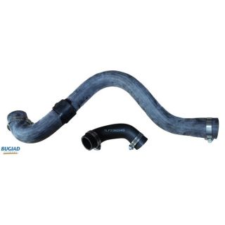 Kompresoriaus padavimo žarna BUGIAD 82045