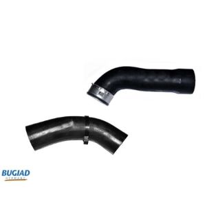 Kompresoriaus padavimo žarna BUGIAD 84613