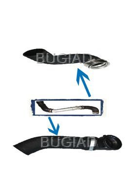 Kompresoriaus padavimo žarna BUGIAD 84615