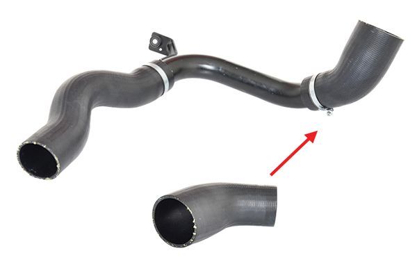 Kompresoriaus padavimo žarna BUGIAD 88413