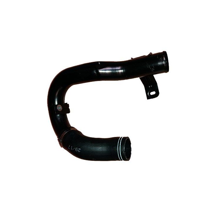 Kompresoriaus padavimo žarna BUGIAD 88483