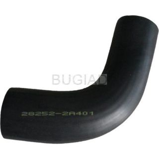 Kompresoriaus padavimo žarna BUGIAD 88637