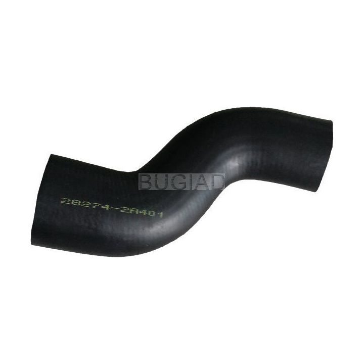 Kompresoriaus padavimo žarna BUGIAD 88638