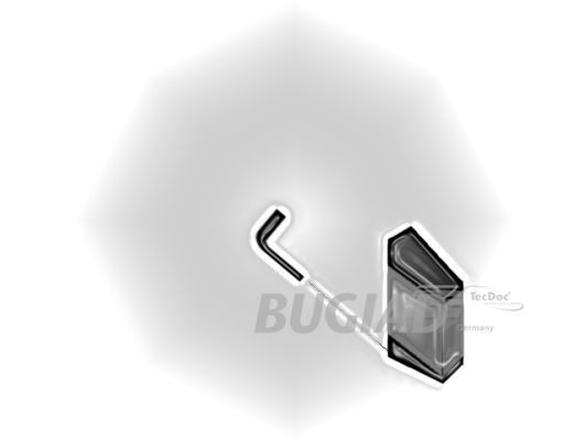 Kompresoriaus padavimo žarna BUGIAD 88639