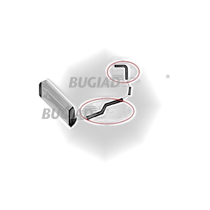 Kompresoriaus padavimo žarna BUGIAD 88791