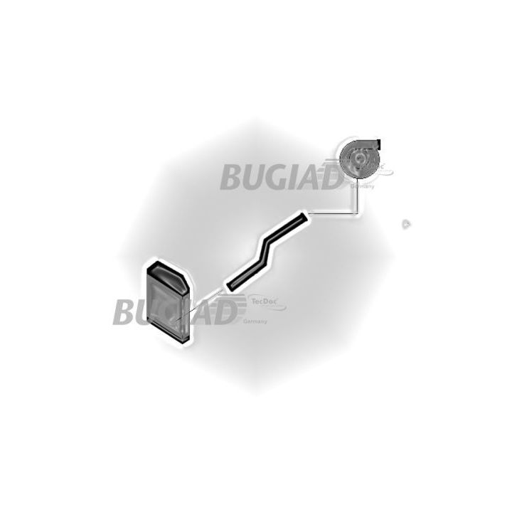 Kompresoriaus padavimo žarna BUGIAD 88795