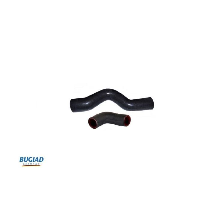 Kompresoriaus padavimo žarna BUGIAD 88797