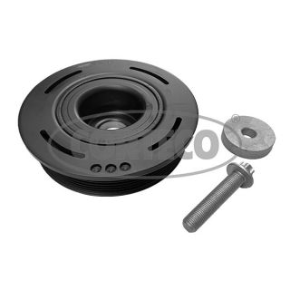 Alkūninio veleno skriemulių rinkinys CORTECO 49104550