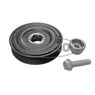 Alkūninio veleno skriemulių rinkinys CORTECO 49104652