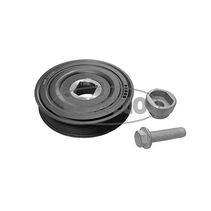 Alkūninio veleno skriemulių rinkinys CORTECO 49104652