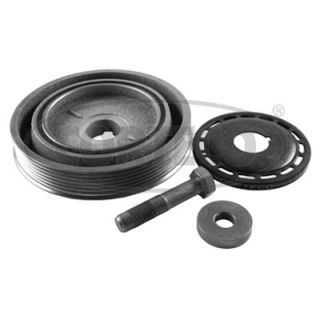 Alkūninio veleno skriemulių rinkinys CORTECO 49359583