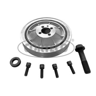 Alkūninio veleno skriemulių rinkinys CORTECO 49391681