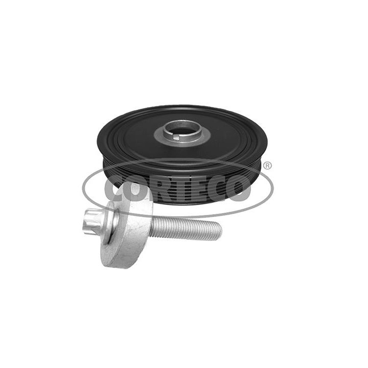 Alkūninio veleno skriemulių rinkinys CORTECO 49409703