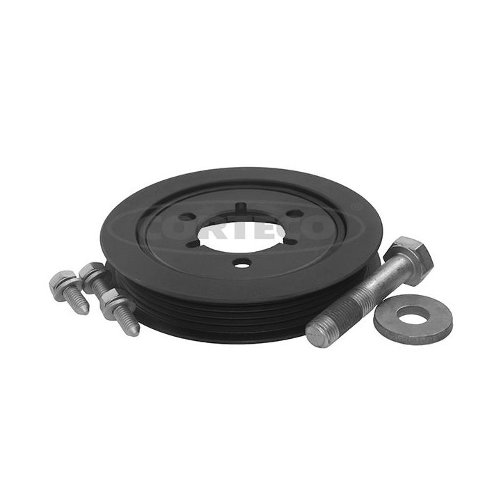 Alkūninio veleno skriemulių rinkinys CORTECO 49409705