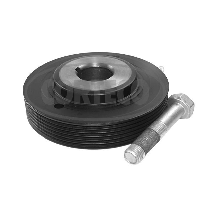 Alkūninio veleno skriemulių rinkinys CORTECO 49418955