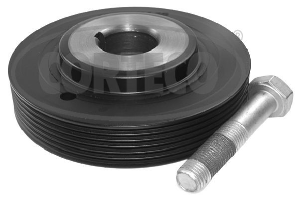 Alkūninio veleno skriemulių rinkinys CORTECO 49418955