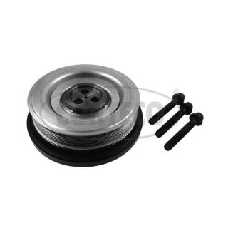 Alkūninio veleno skriemulių rinkinys CORTECO 49419112